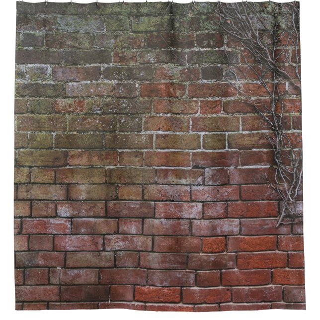 Brown and black wooden board shower curtain (Front)