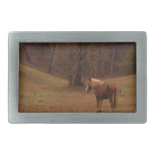 Brown and Blonde Horse in a field Belt Buckle