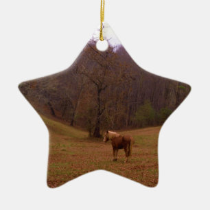 Brown and Blonde Horse in a field Ceramic Tree Decoration