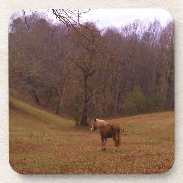 Brown and Blonde Horse in a field Coaster (Front)