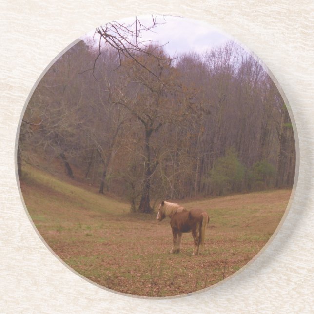 Brown and Blonde Horse in a field Coaster (Front)