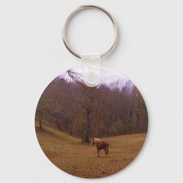 Brown and Blonde Horse in a field Key Ring (Front)