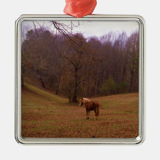 Brown and Blonde Horse in a field Metal Tree Decoration (Front)