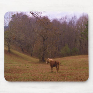Brown and Blonde Horse in a field Mouse Pad