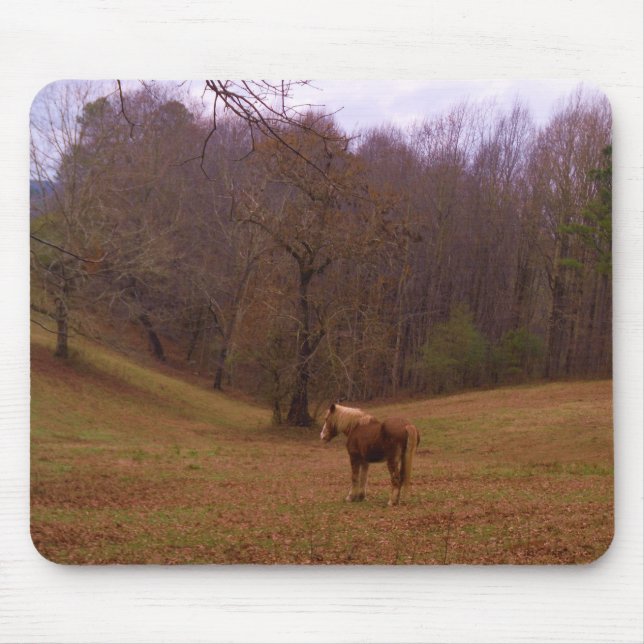 Brown and Blonde Horse in a field Mouse Pad (Front)