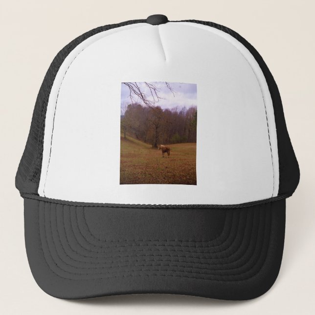 Brown and Blonde Horse in a field Trucker Hat (Front)