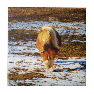 Brown and cream miniature horse in the snow. ceramic tile
