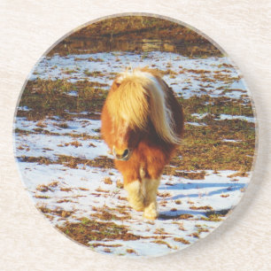 Brown and cream miniature horse in the snow. coaster
