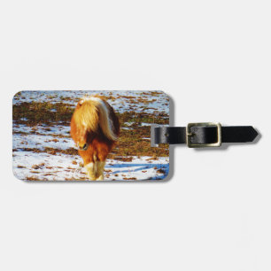 Brown and cream miniature horse in the snow. luggage tag
