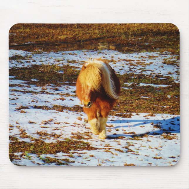 Brown and cream miniature horse in the snow. mouse pad (Front)