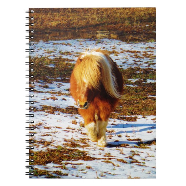 Brown and cream miniature horse in the snow. notebook (Front)