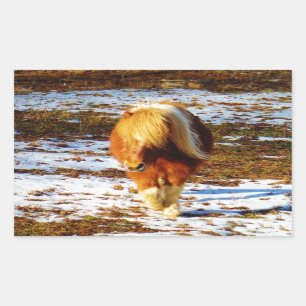 Brown and cream miniature horse in the snow. rectangular sticker