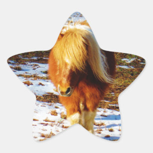 Brown and cream miniature horse in the snow. star sticker