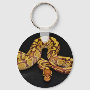 Brown and Gold Ball Python Key Ring
