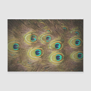 Brown and Gold Peacock Feather Tissue Paper