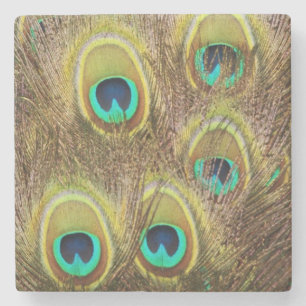 Brown and Gold Peacock Stone Coaster