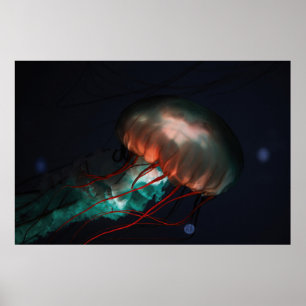 BROWN AND GREEN JELLYFISH POSTER