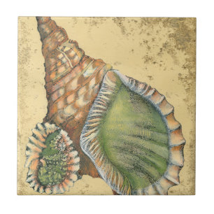 Brown and Green Seashell Ceramic Tile