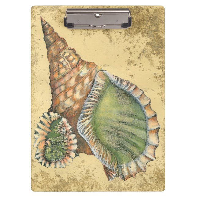 Brown and Green Seashell Clipboard (Front)