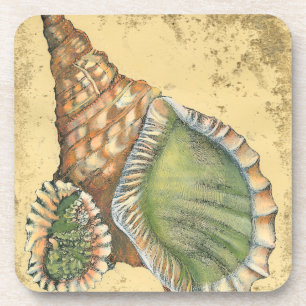 Brown and Green Seashell Coaster