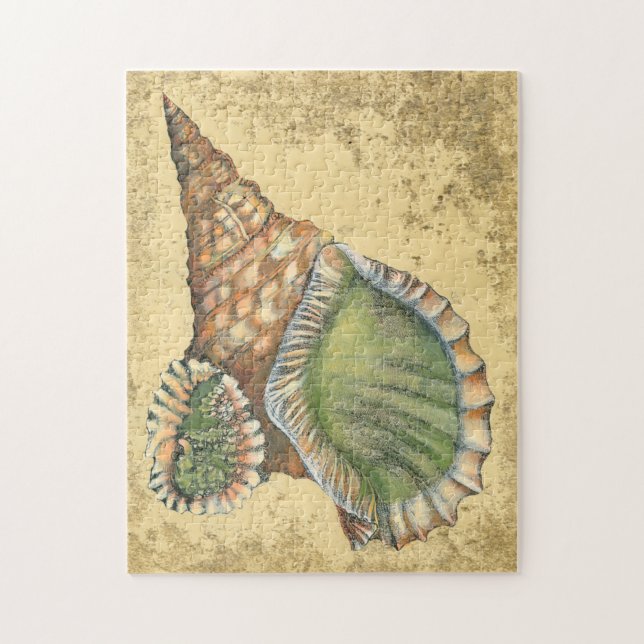 Brown and Green Seashell Jigsaw Puzzle (Vertical)