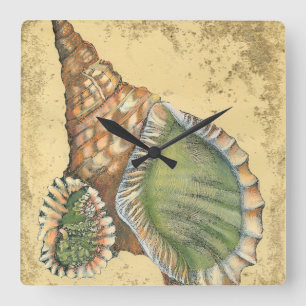 Brown and Green Seashell Square Wall Clock