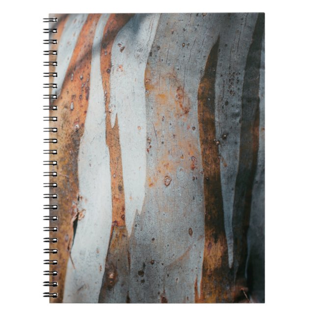 Brown and grey tree trunk notebook (Front)