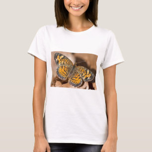 Brown and Orange Moth Apparel and Gifts T-Shirt