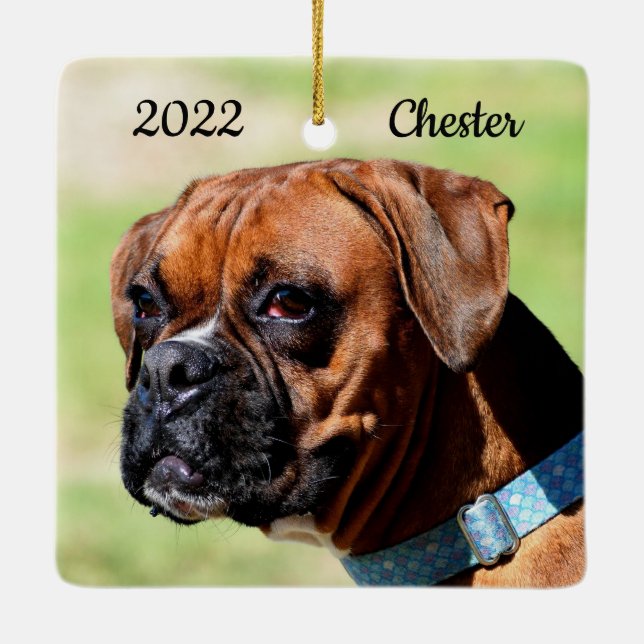 Brown and White Boxer Puppy Dog Ceramic Ornament (Back)