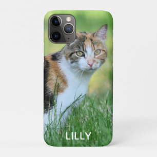 Brown and white cat iPhone 11 pro case