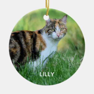 Brown and white cat ceramic ornament