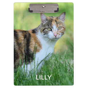 Brown and white cat clipboard
