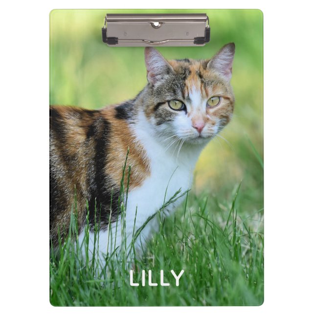 Brown and white cat clipboard (Front)