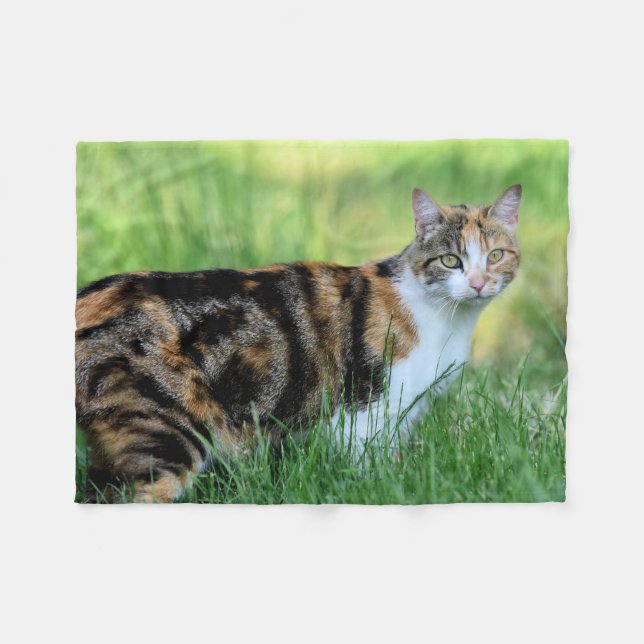 Brown and white cat fleece blanket (Front (Horizontal))