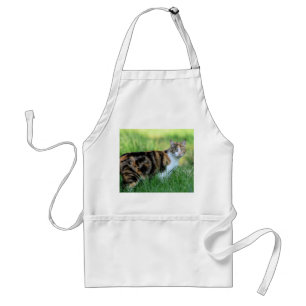 Brown and white cat standard apron