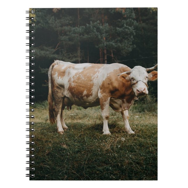BROWN AND WHITE CHAINED COW NOTEBOOK (Front)