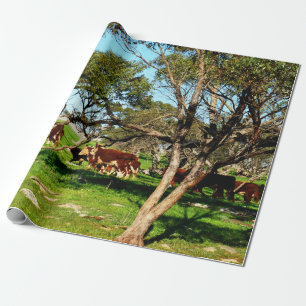Brown And White Cows On The Range, Wrapping Paper