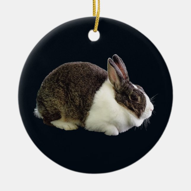 Brown and White Dutch Rabbit Ceramic Ornament (Front)