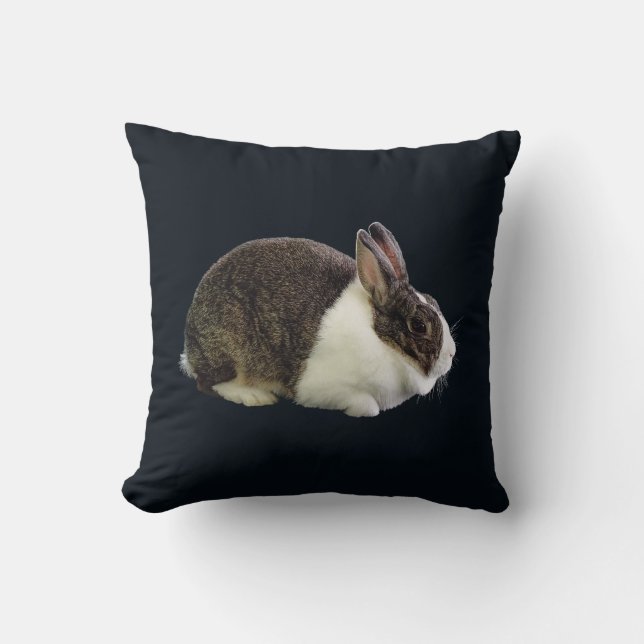 Brown and White Dutch Rabbit Cushion (Front)