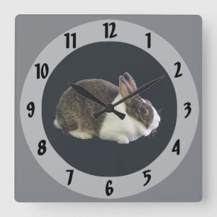 Brown and White Dutch Rabbit Square Wall Clock