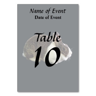 Brown and White Dutch Rabbit Table Number
