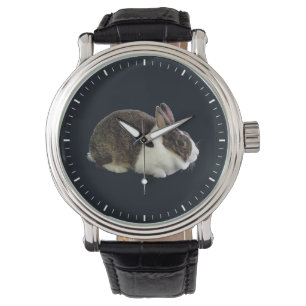 Brown and White Dutch Rabbit Watch