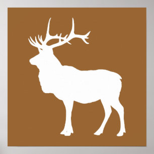 Brown and White Elk Poster