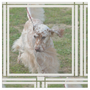 Brown and White English Setter Fabric