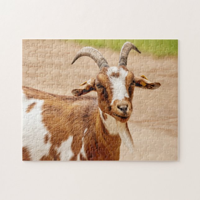 Brown and White Goat Jigsaw Puzzle (Horizontal)