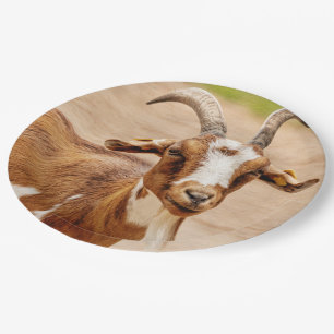 Brown and White Goat Paper Plate