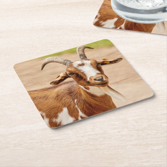 Brown and White Goat Square Paper Coaster (Angled)