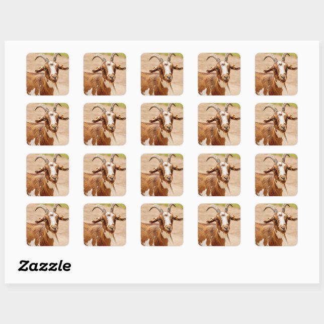 Brown and White Goat  Square Sticker (Sheet)