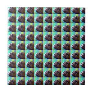Brown And White Guinea Pig Brick Pattern,  Ceramic Tile