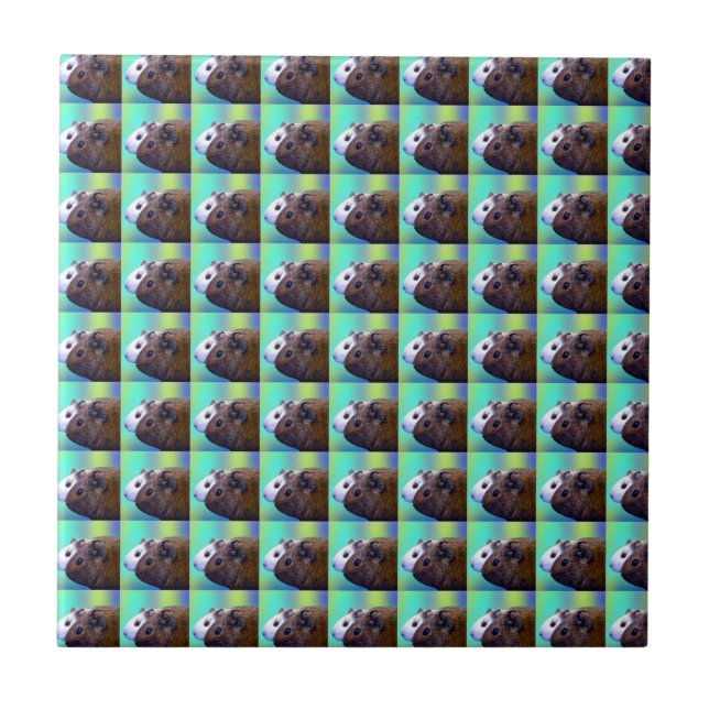 Brown And White Guinea Pig Brick Pattern,  Ceramic Tile (Front)